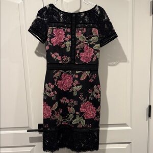 Tadashi Shoji Floral Lace Dress - Black and Pink